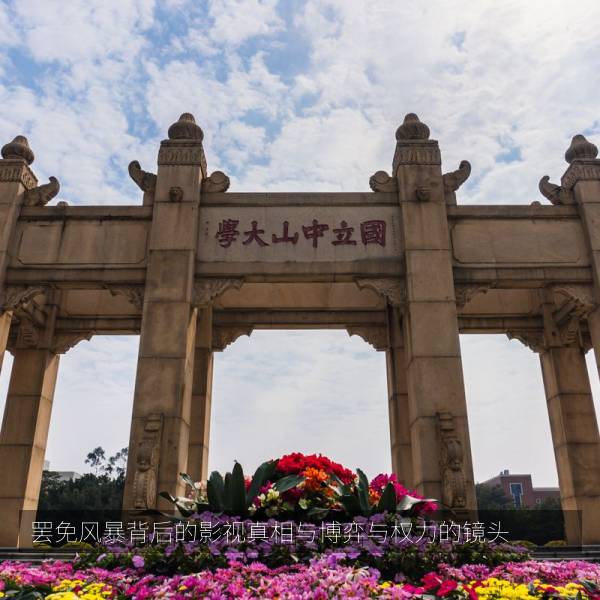罢免风暴背后的影视真相与博弈与权力的镜头 海报