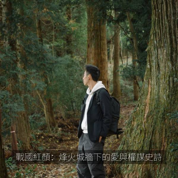 戰國紅顏：烽火城牆下的愛與權謀史詩 海报