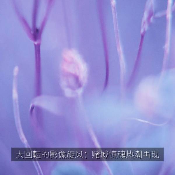 大回転的影像旋风：赌城惊魂热潮再现 海报