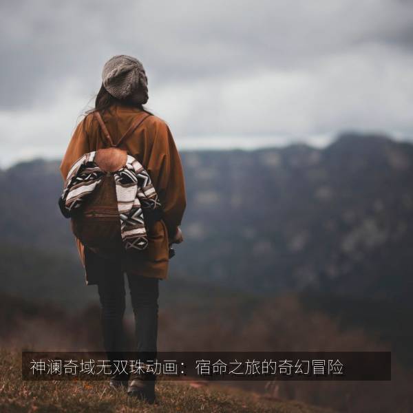 神澜奇域无双珠动画：宿命之旅的奇幻冒险 封面