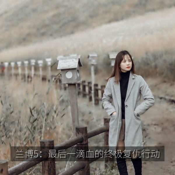 兰博5：最后一滴血的终极复仇行动 封面