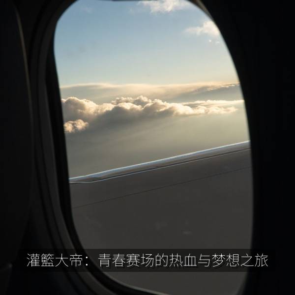灌籃大帝：青春赛场的热血与梦想之旅 剧照