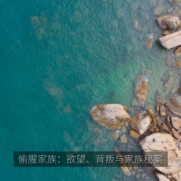 偷腥家族：欲望、背叛与家族秘案 海报